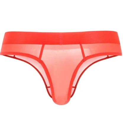 Soft Breathable Semi-transparent Brief - Image 11