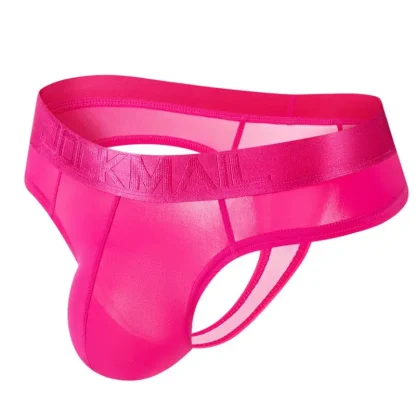 Soft Breathable Semi-transparent Brief - Image 2