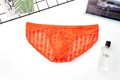 Transparent Sexy Striped Brief - Image 11