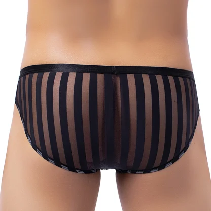 Transparent Sexy Striped Brief - Image 5