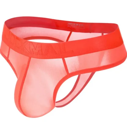 Soft Breathable Semi-transparent Brief - Image 5