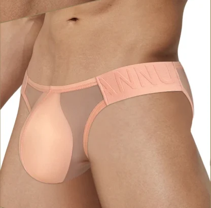 Sheer Mesh Bulge Pouch Brief - Image 6